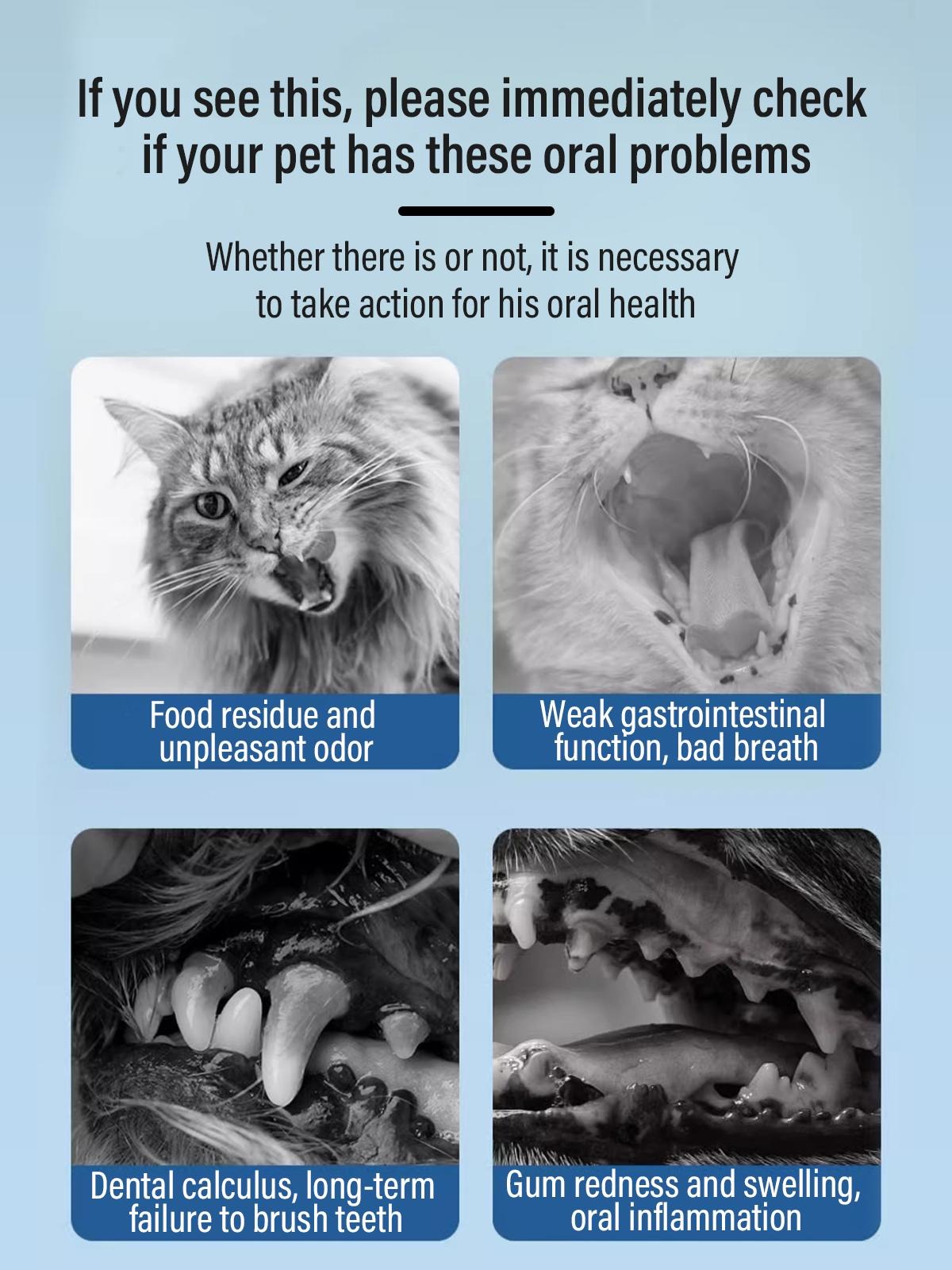 PETCLEAR Air Pencuci Mulut Haiwan Peliharaan -380ml