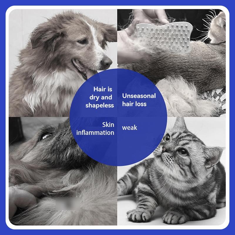 PetClear Pet deep sea fish oil soft capsules for dogs-Pet Store