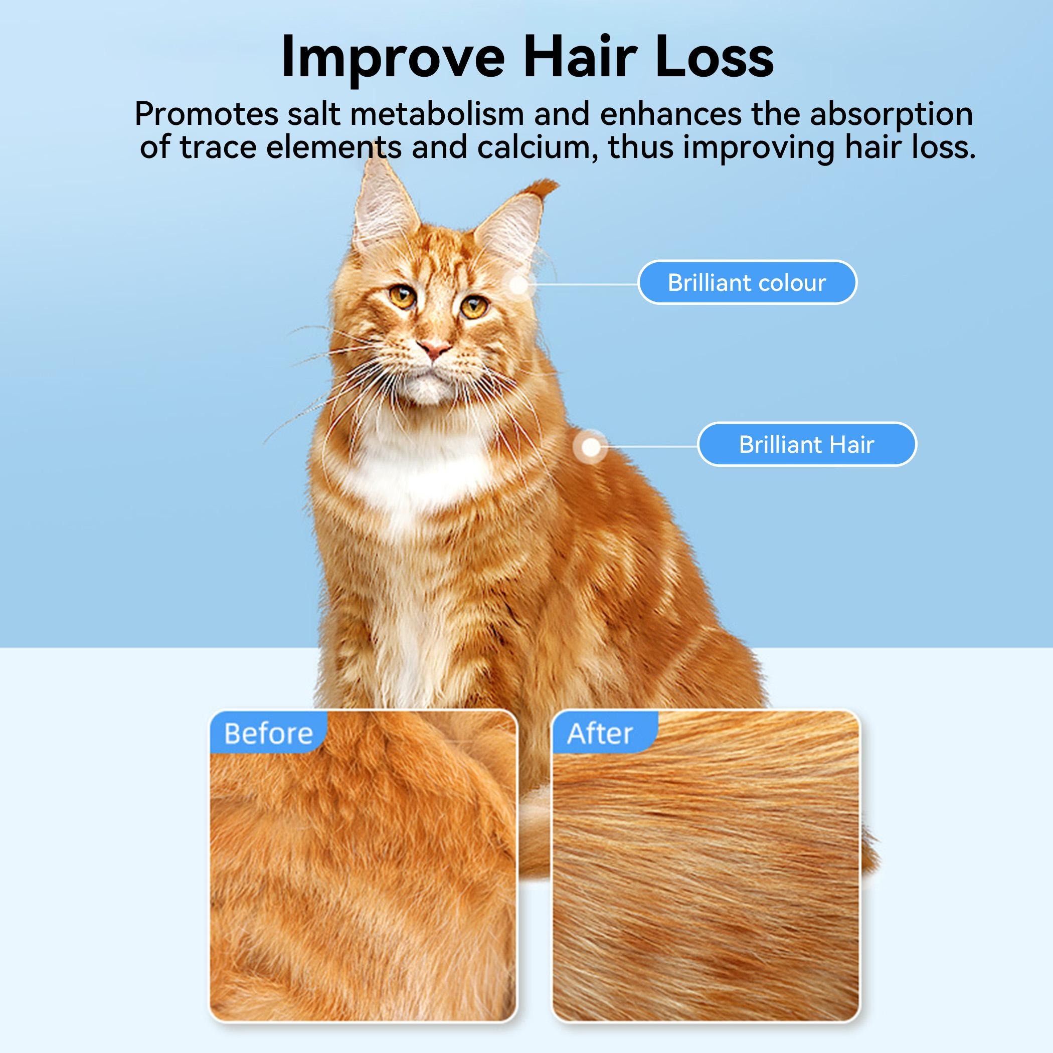 PetClear Vitamin Kompleks Haiwan Peliharaan - 200 Tablet-Pet Store