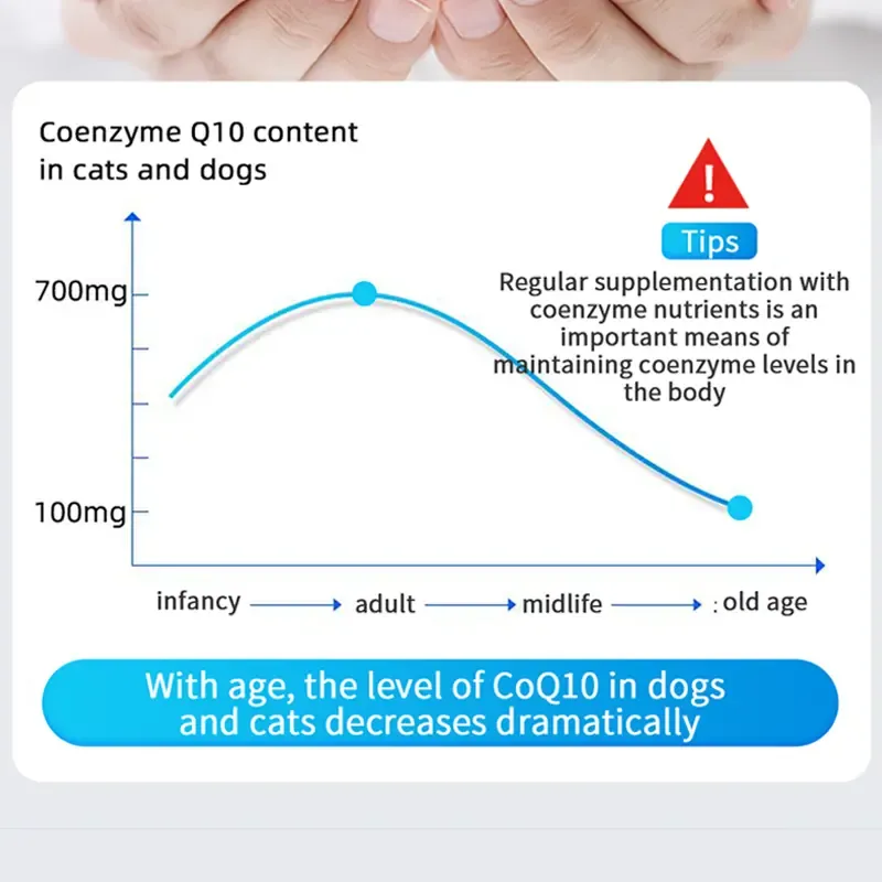 PETCLEAR Koenzim Q10 - 300pcs