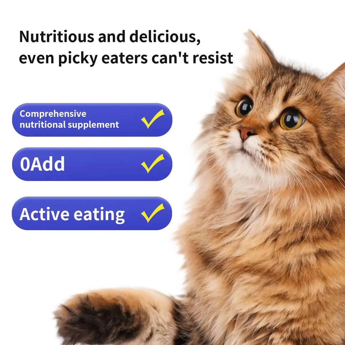 PETCLEAR Suplemen Nutrisi 200 tablets