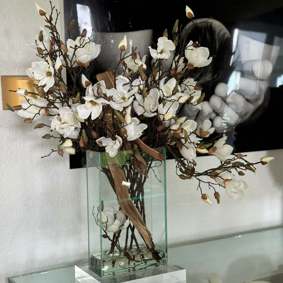 Magnolias blancs dans 16″ de hauteur Casa Moderna