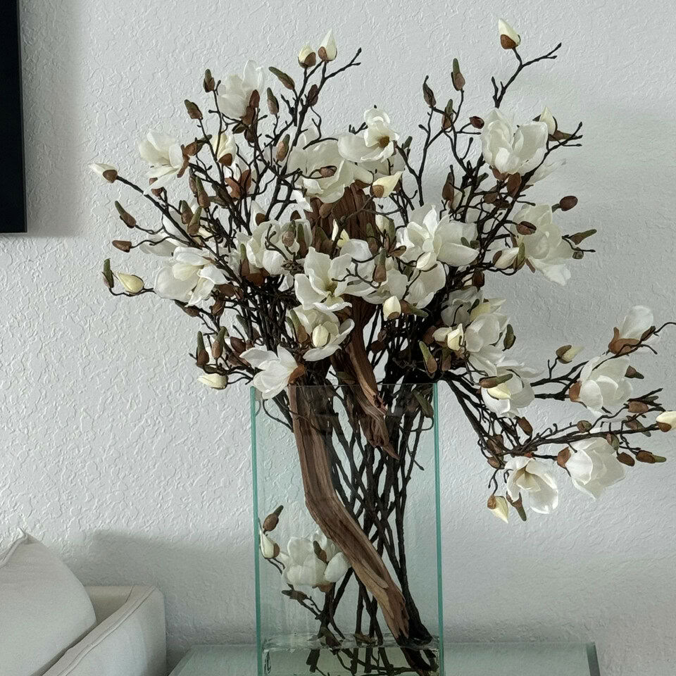 Magnolias blancs dans un cylindre en verre de 16″