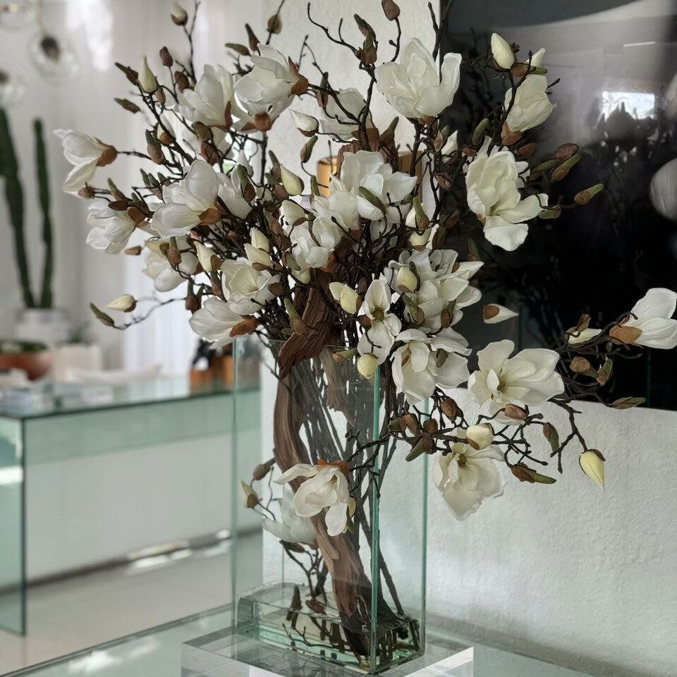 Magnolias blancs dans 16″ de hauteur Casa Moderna