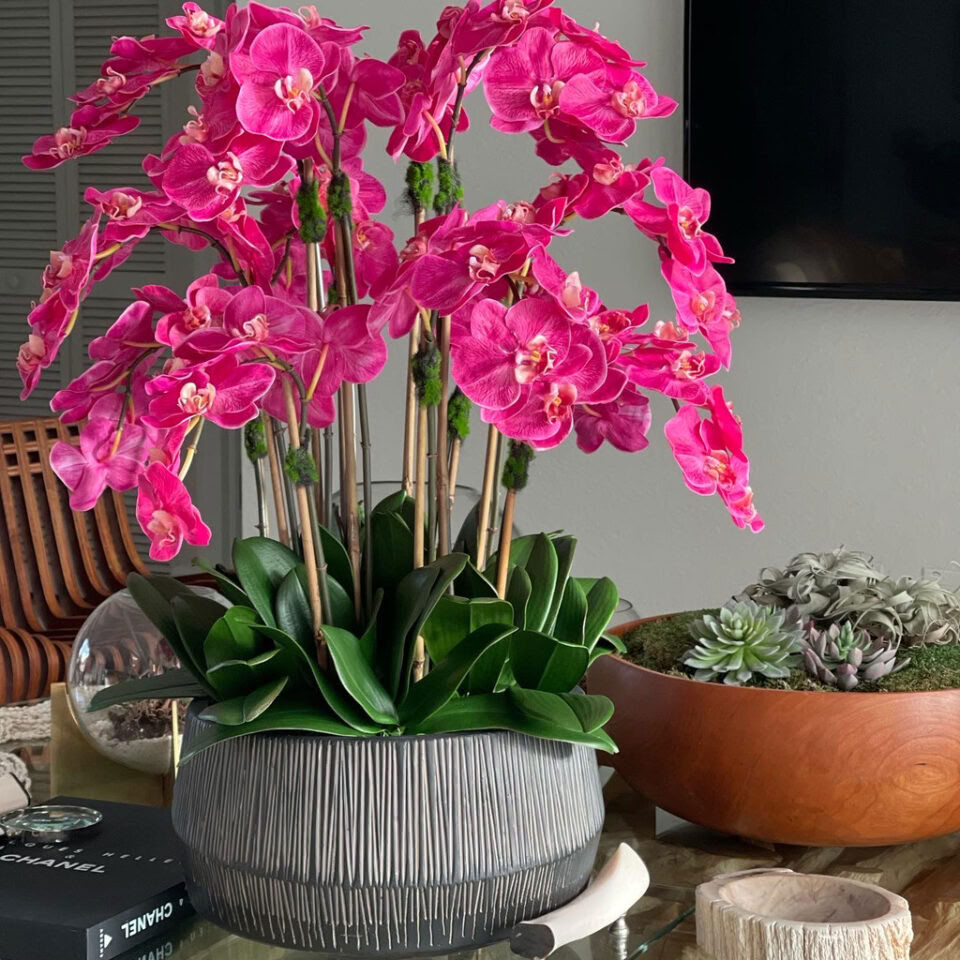 Bol Java avec orchidées Phalaenopsis roses