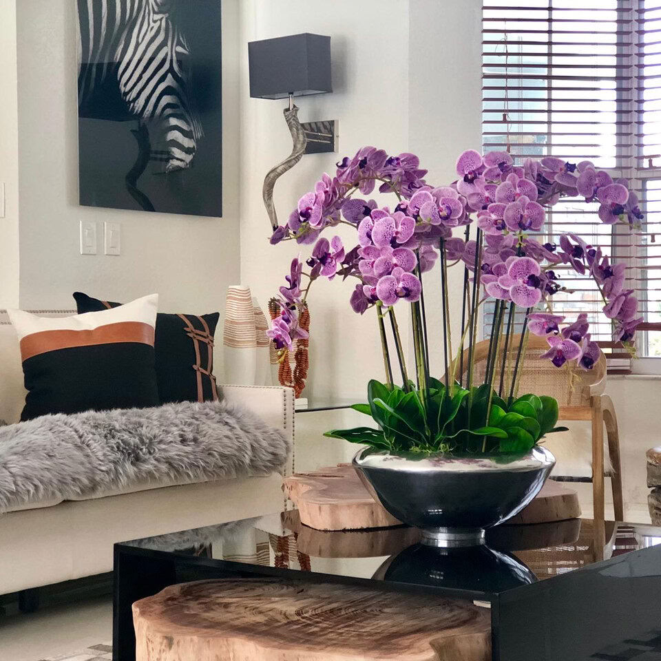 Bol Avenue avec orchidées Phalaenopsis violettes