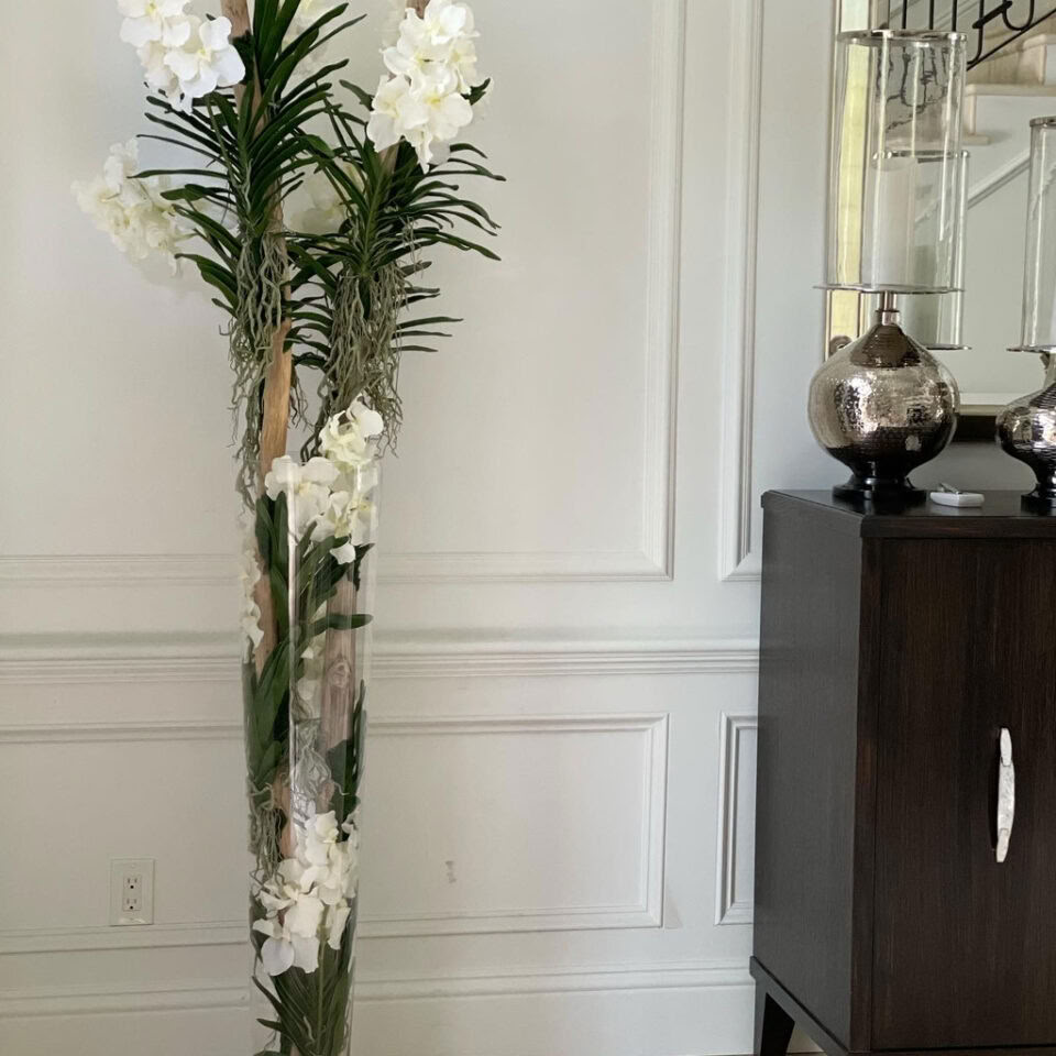 Orchidées Vanda et bois flotté à l'intérieur d'un cylindre en verre