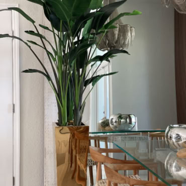 Jardinière Cube Doré avec Oiseau de Paradis (9′)