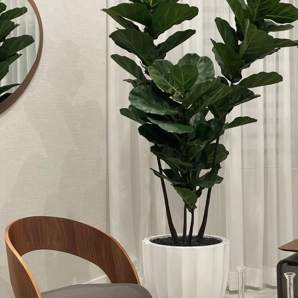 Jardinière Santa Barbara avec jardinière et arbre violon