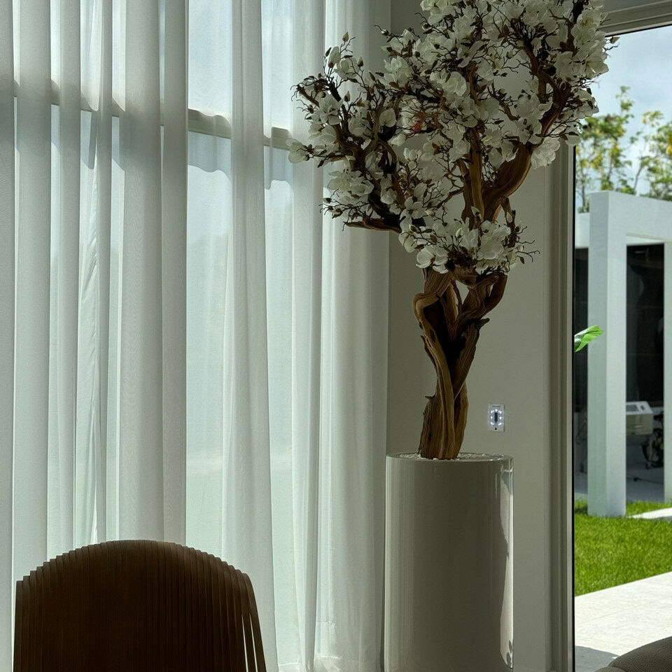 Magnolia blanc de 10 pieds dans un pot de fleurs St. Tropez beige brillant