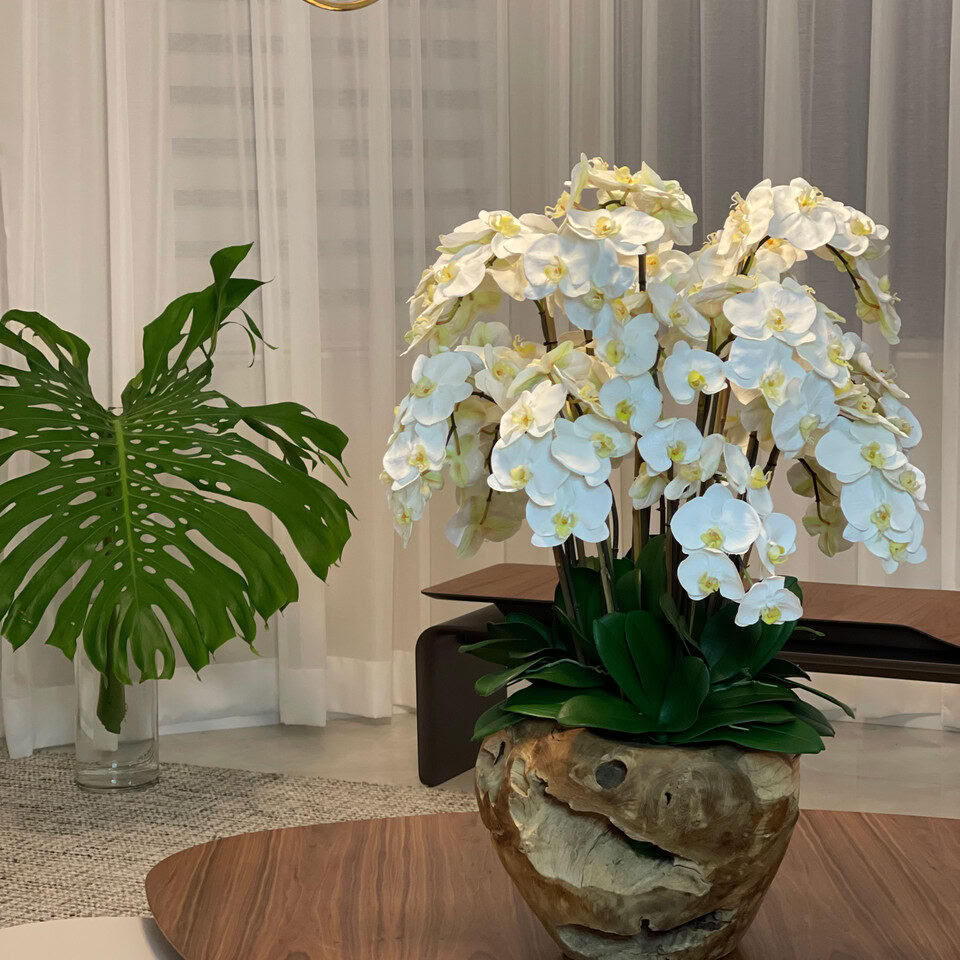 Très grand bol rustique en teck avec orchidées blanches en cascade