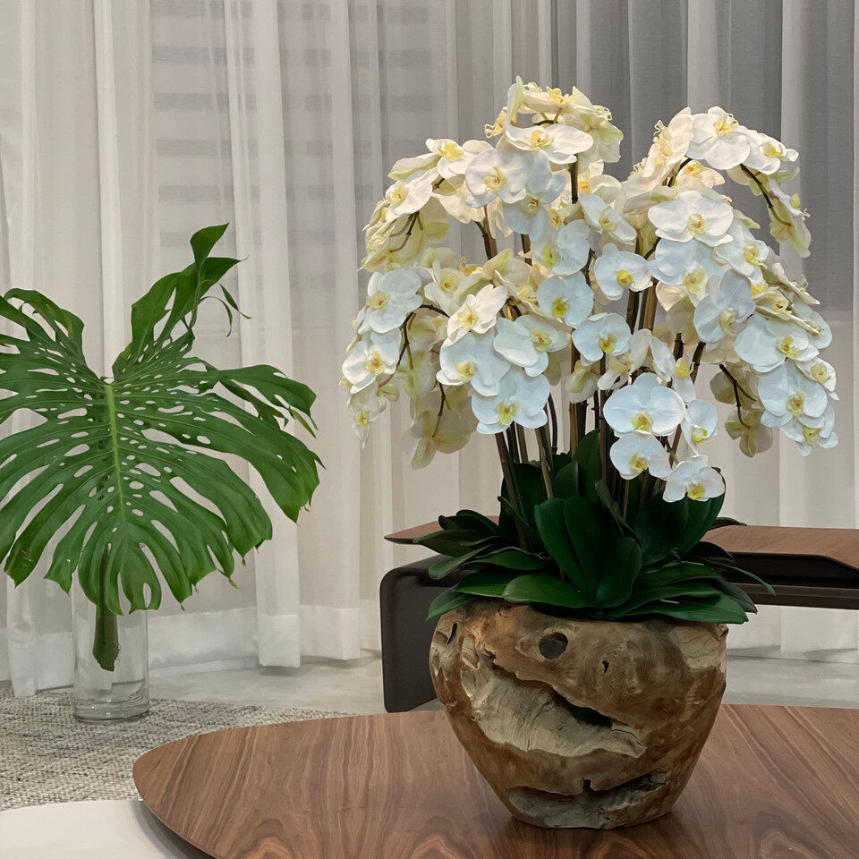 Très grand bol rustique en teck avec orchidées blanches en cascade