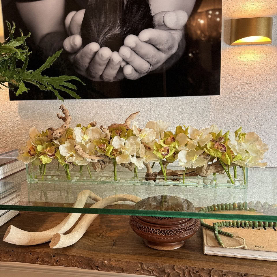 Casa Moderna avec Vandas blanches et cymbidiums verts