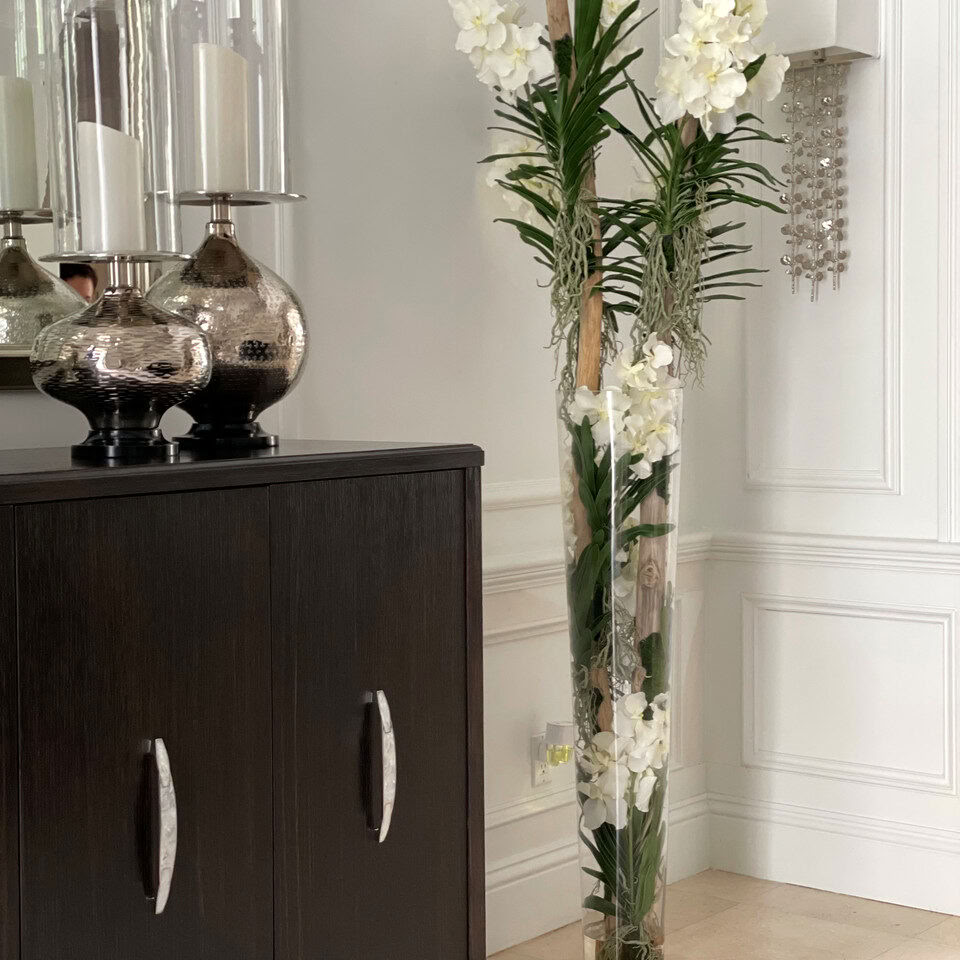 Orchidées Vanda et bois flotté à l'intérieur d'un cylindre en verre