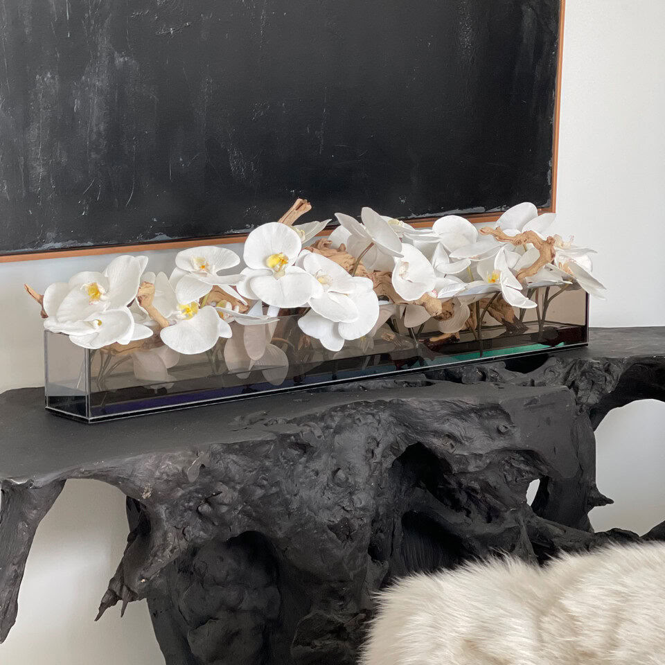 Jardinière en verre teinté noir Casa Moderna 48″ avec orchidées Phalaenopsis blanches