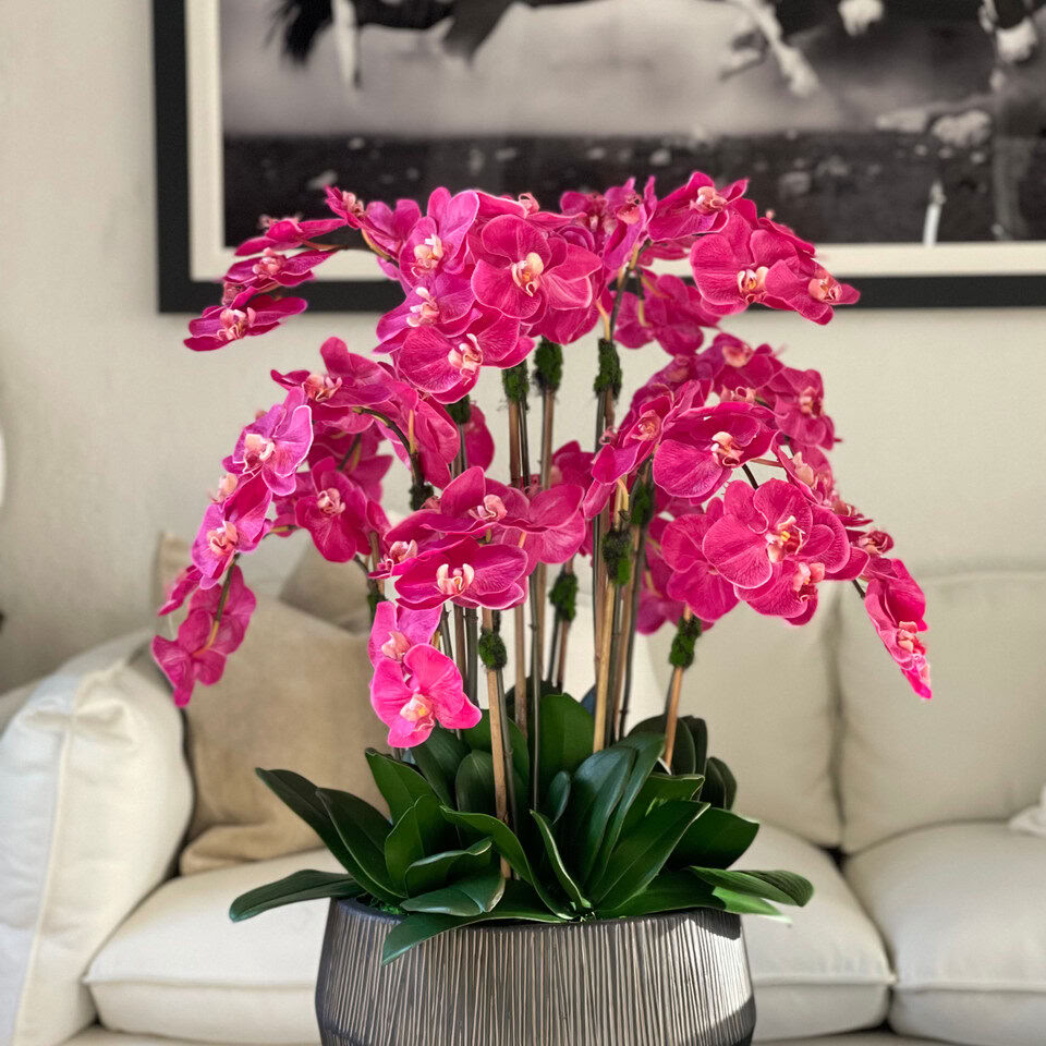 Bol Java avec orchidées Phalaenopsis roses