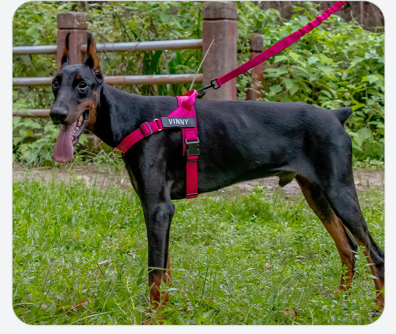 Dog Harness | Chafe Resistant Webbing, Adjustable Neck & Chest, and Heavy Duty D-Ring | Sturdy, Comfortable, Easy to Use | Black