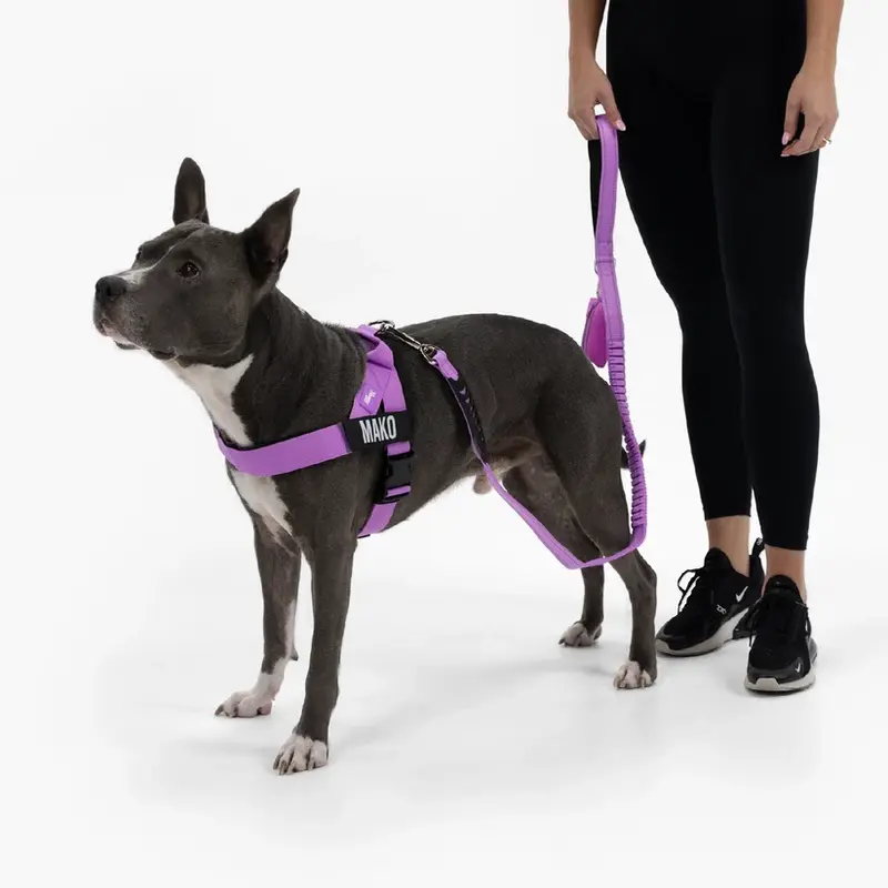 Dog Harness | Chafe Resistant Webbing, Adjustable Neck & Chest, and Heavy Duty D-Ring | Sturdy, Comfortable, Easy to Use | Black