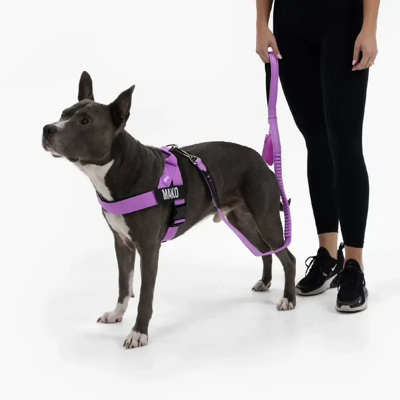 Dog Harness | Chafe Resistant Webbing, Adjustable Neck & Chest, and Heavy Duty D-Ring | Sturdy, Comfortable, Easy to Use | Black