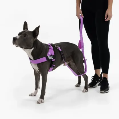 Dog Harness | Chafe Resistant Webbing, Adjustable Neck & Chest, and Heavy Duty D-Ring | Sturdy, Comfortable, Easy to Use | Black