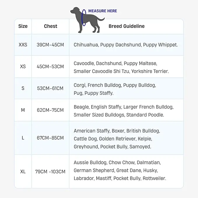 Dog Harness | Chafe Resistant Webbing, Adjustable Neck & Chest, and Heavy Duty D-Ring | Sturdy, Comfortable, Easy to Use | Black