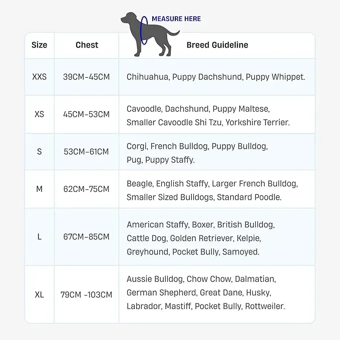Dog Harness | Chafe Resistant Webbing, Adjustable Neck & Chest, and Heavy Duty D-Ring | Sturdy, Comfortable, Easy to Use | Black