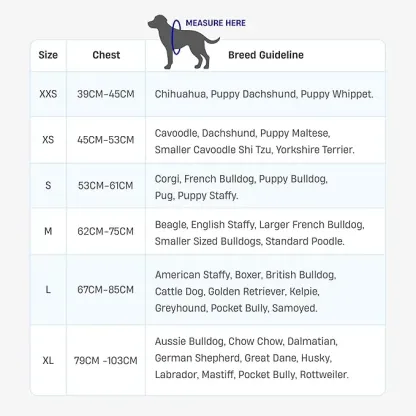 Dog Harness | Chafe Resistant Webbing, Adjustable Neck & Chest, and Heavy Duty D-Ring | Sturdy, Comfortable, Easy to Use | Black