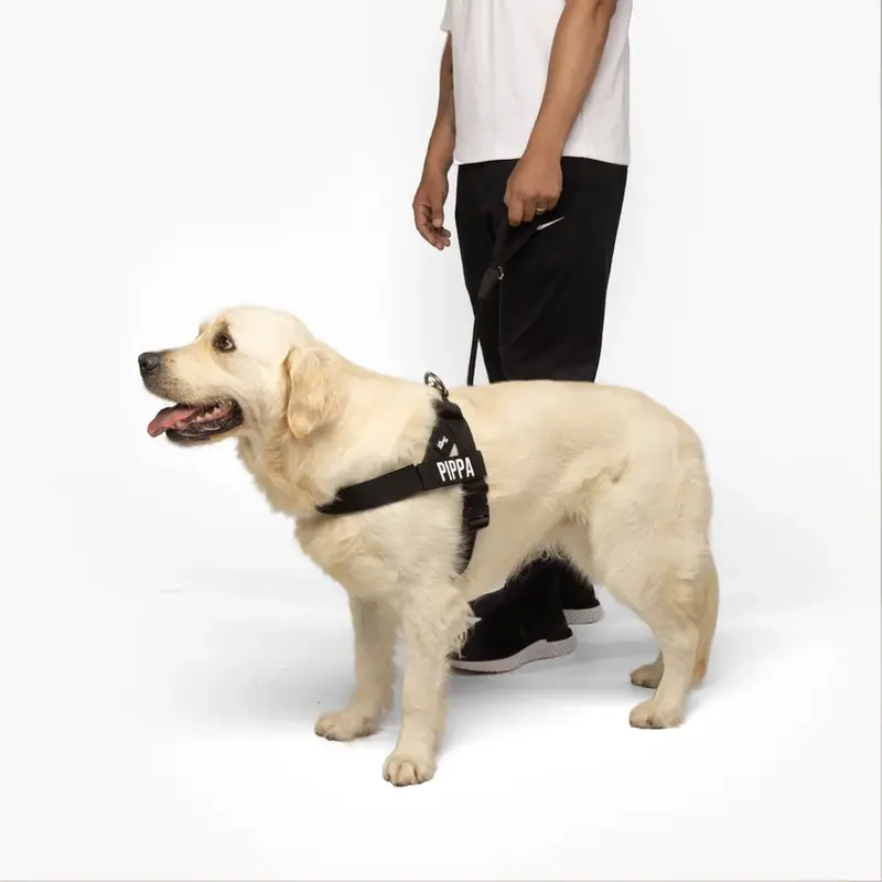 Dog Harness | Chafe Resistant Webbing, Adjustable Neck & Chest, and Heavy Duty D-Ring | Sturdy, Comfortable, Easy to Use | Black