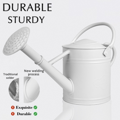 White 1 Gallon Metal Watering Can with Removable Rose