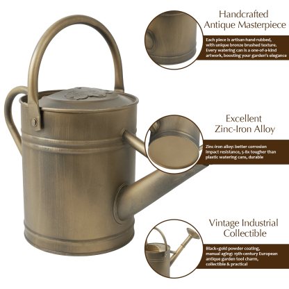Antique Bronze 1 Gallon Metal Watering Can