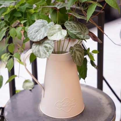 Soft white AnnieGarden metal pitcher vase with fresh green stems