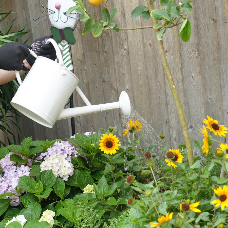AnnieGarden white metal watering can styled for everyday garden and home decor