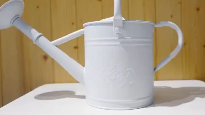White 1 Gallon Metal Watering Can with Removable Rose
