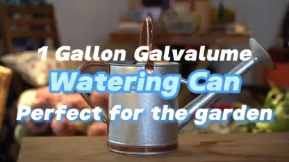 Galvalume 1 Gallon Watering Can with Copper Details