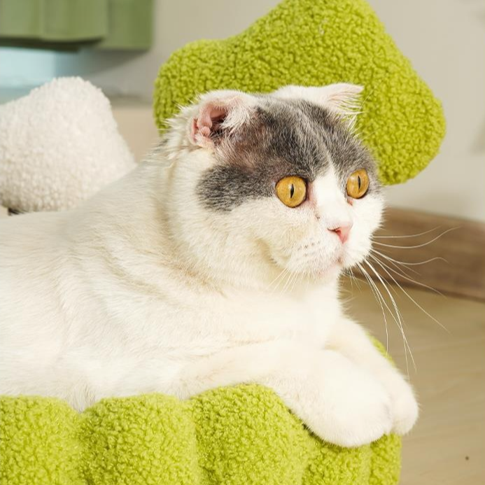 Cat Climbing Tower with Cozy Bed