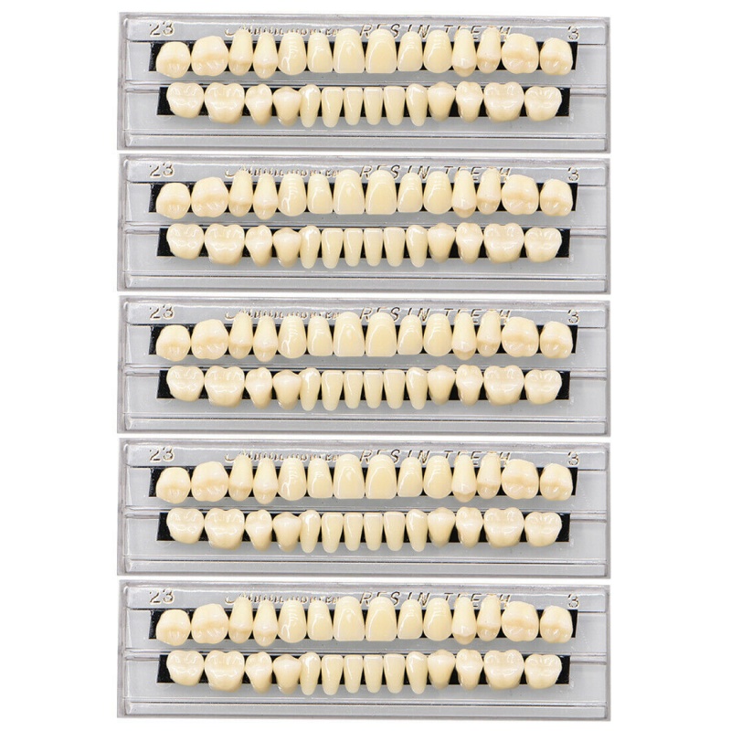 Dental Acrylic Resin Teeth for DIY Dentures | False Tooth Shade A2 A3 Upper Lower Rows for Teeth Replacement