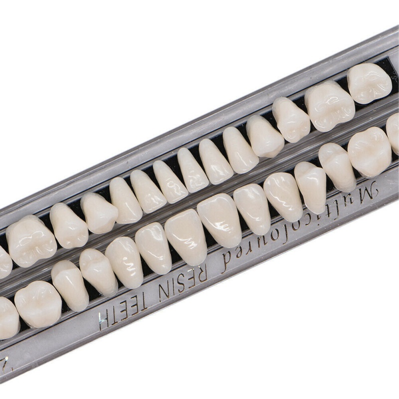 Dental Acrylic Resin Teeth for DIY Dentures | False Tooth Shade A2 A3 Upper Lower Rows for Teeth Replacement