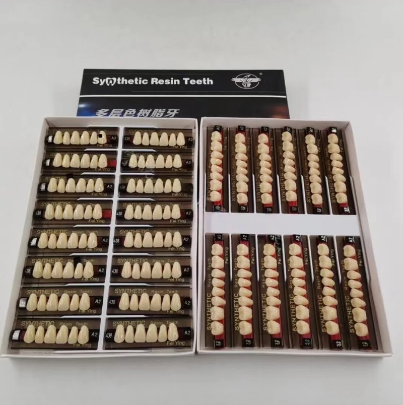 Dental Synthetic Resin Teeth DIY Denture False Teeth A2 A3 Upper Lower