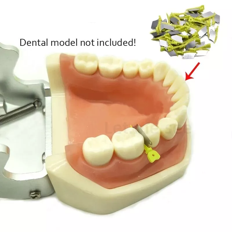 Dental Interproximal Wedges with Metal Matrix Blade Guard | 134°C Autoclavable Fender Wedge Kit, L/M/S Sizes
