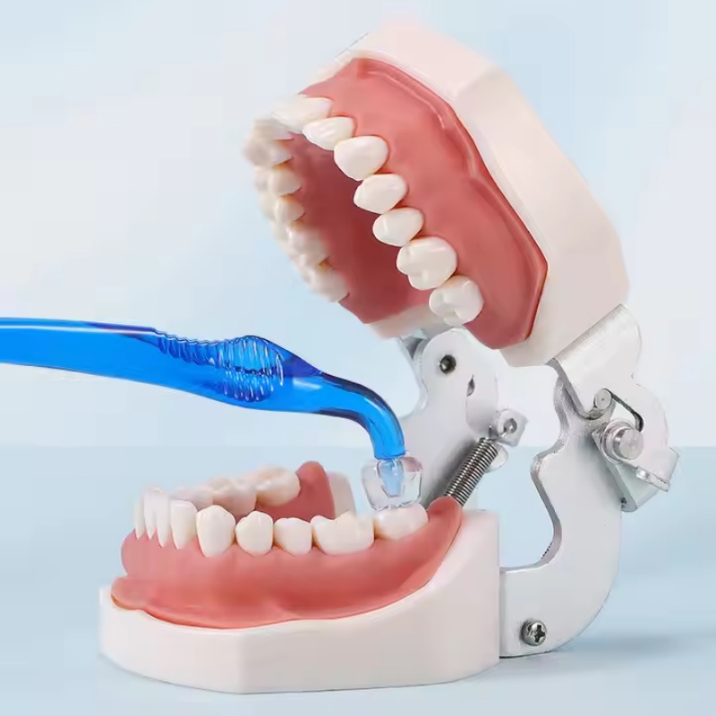 Dental Composite Resin Veneers Mold Kit, Anterior & Posterior Aesthetic Molar Teeth Restoration Matrices