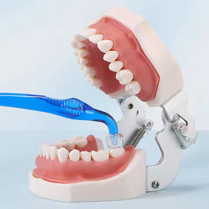 Dental Veneer Mould Kit Composite Resin Mold Light Cure Anterior Posterior Teeth