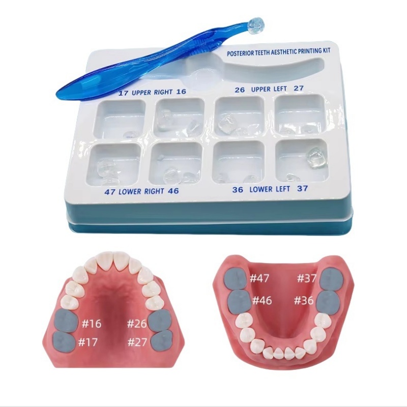 Dental Composite Resin Veneers Mold Kit, Anterior & Posterior Aesthetic Molar Teeth Restoration Matrices