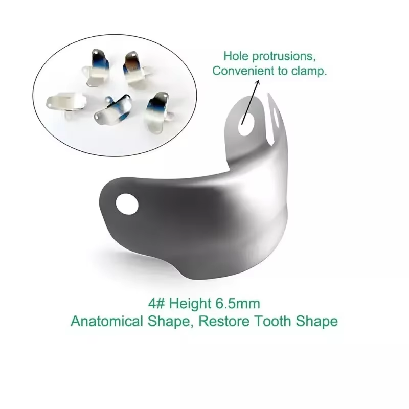 50x Dental Matrix Bands Ring Sectional Matrice Clamp Fit Palodent V3 Metal Band