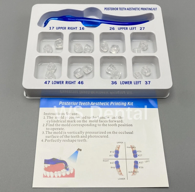 Dental Veneers Mould Composite Resin Anterior Posterior Teeth Molar Restoration