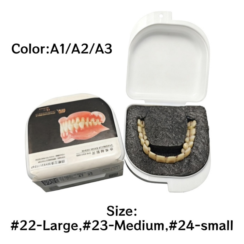 CAIYU Dental Acrylic Resin Teeth for DIY Dentures | False Teeth Shade A1 A2 A3 Upper Lower Row Replacement