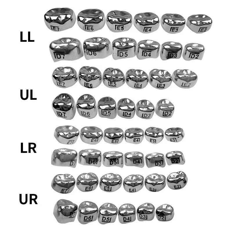 5Pcs Dental D Primary E Molar Kids Crowns Stainless Steel Primary Crown Pediatric
