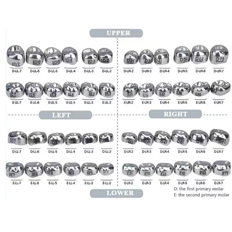 5Pcs Dental D Primary E Molar Kids Crowns Stainless Steel Primary Crown Pediatric