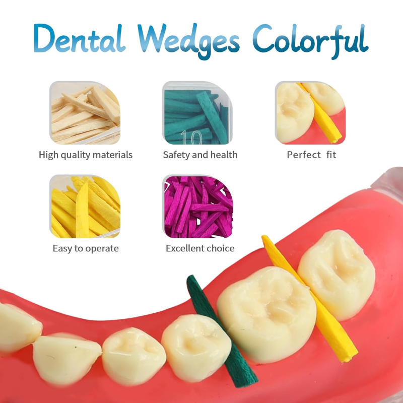 Dental Interdental Wooden Wedges Assorted Sizes and Colors for Rubber Dam Isolation