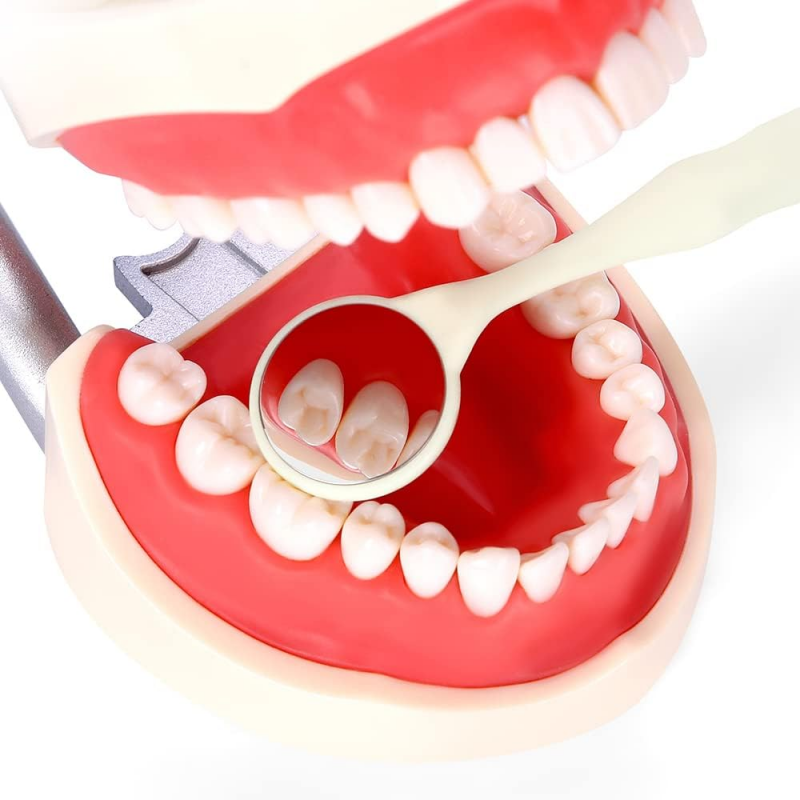 10pcs Double sides Dental Mirror Mouth Teeth Oral Mirrors Reflector Odontoscope