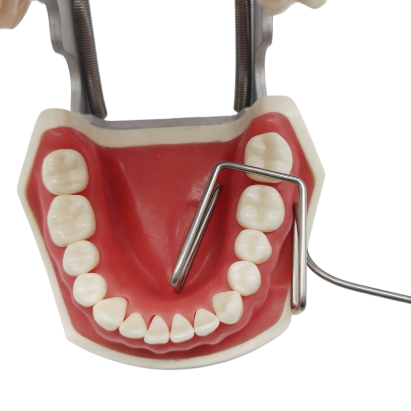 Dental Tongue Cheek Retractor Stainless Steel Autoclavable 135℃ Lingual Retractor